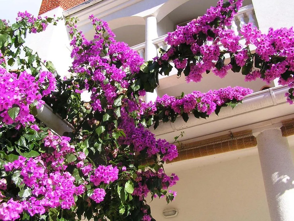 Apartments Paloma Blanca Medulin