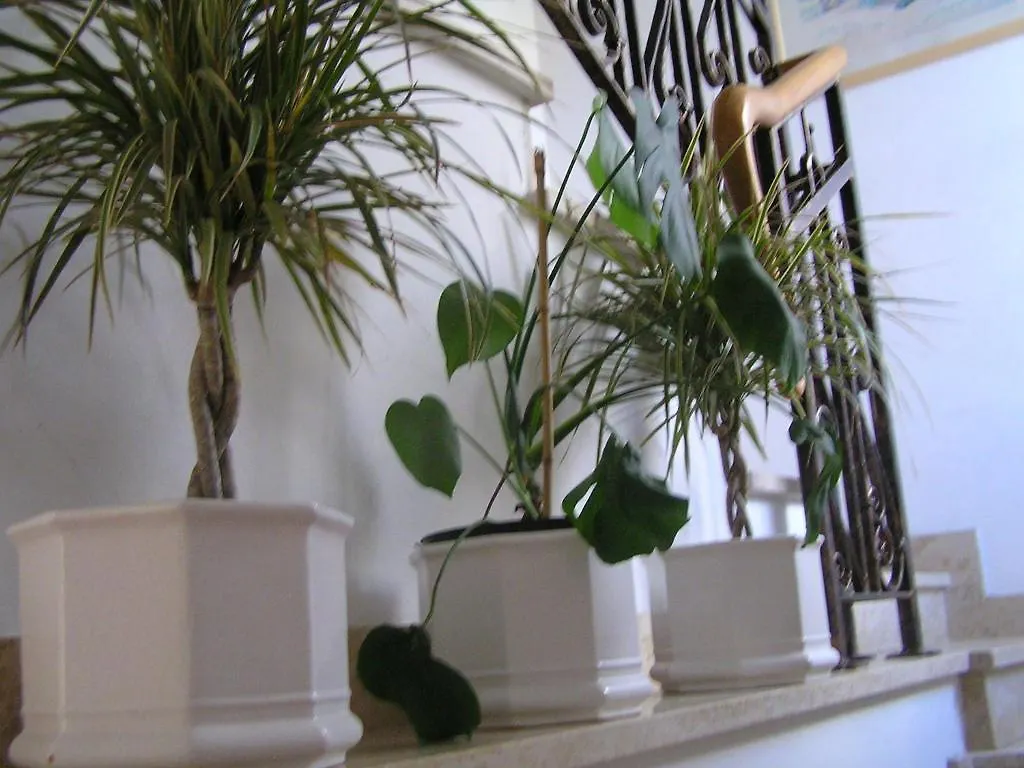 Apartments Paloma Blanca Medulin